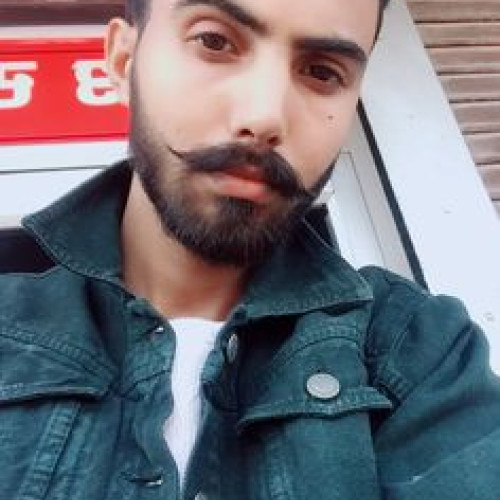 Divyanshu S. profile photo