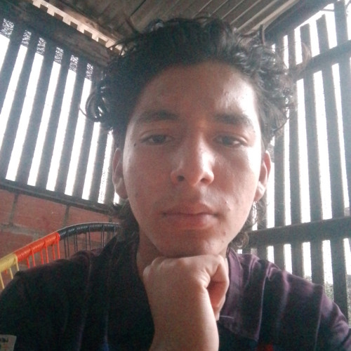 Lucas M. profile photo