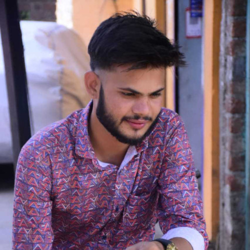lalit v. profile photo