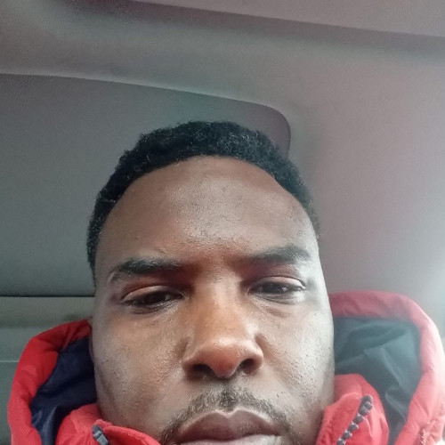 Dominick N. profile photo