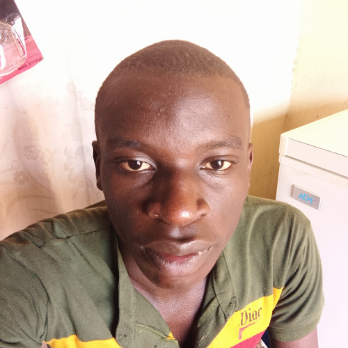 Arafa  N. profile photo
