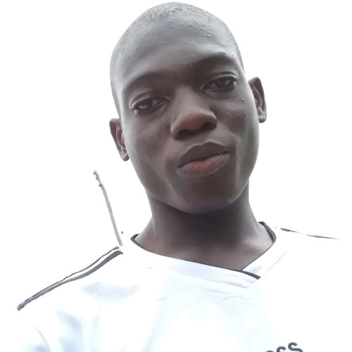 Fagbohungbe  V. profile photo