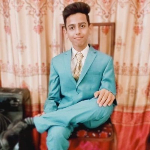 Huzaifa S. profile photo