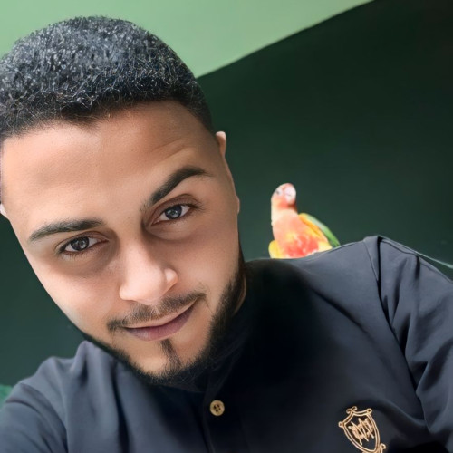 Mostafa  A. profile photo