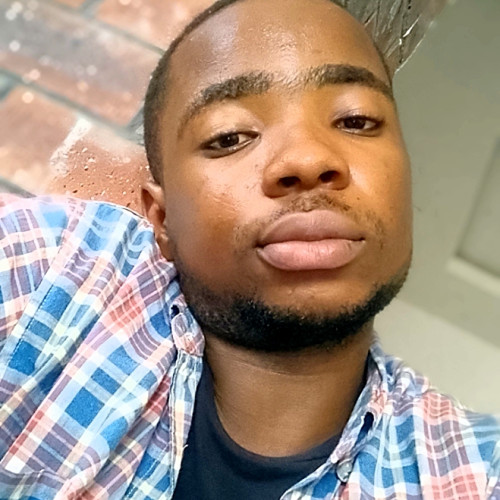 Princewill O. profile photo