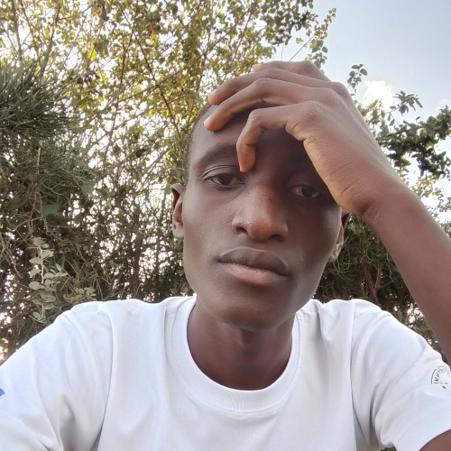 Linus L. profile photo