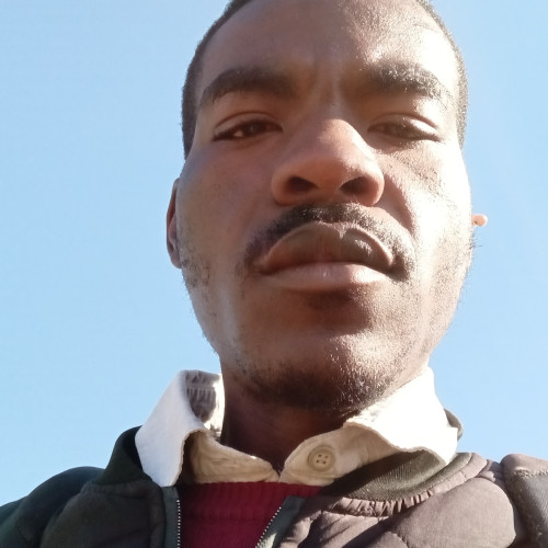 Elvis M. profile photo