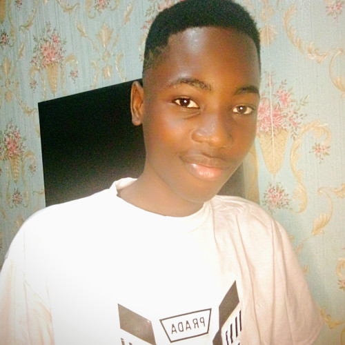 Olasunkanmi T. profile photo