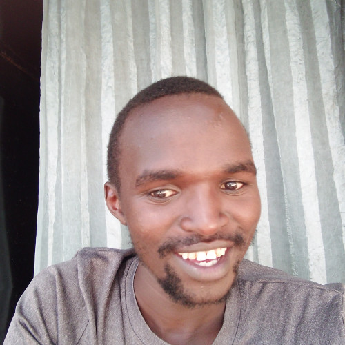 Alex K. profile photo