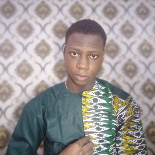 Oluwatimileyin S.