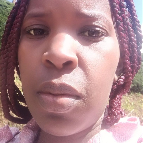 Dolli B. profile photo