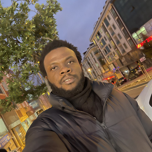 Kingsley N. profile photo