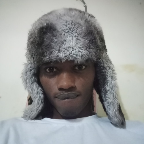 Alex N. profile photo