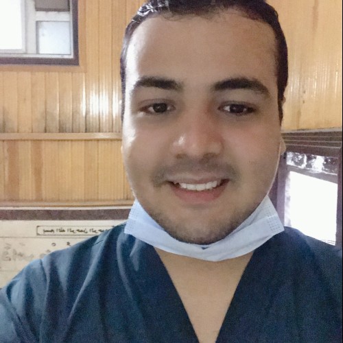 hazem s.