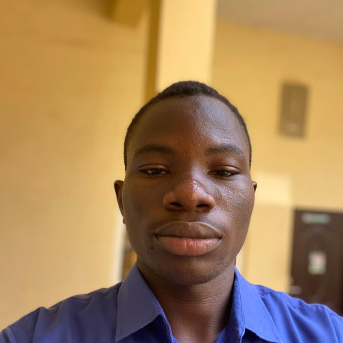 Ayodeji  A. profile photo
