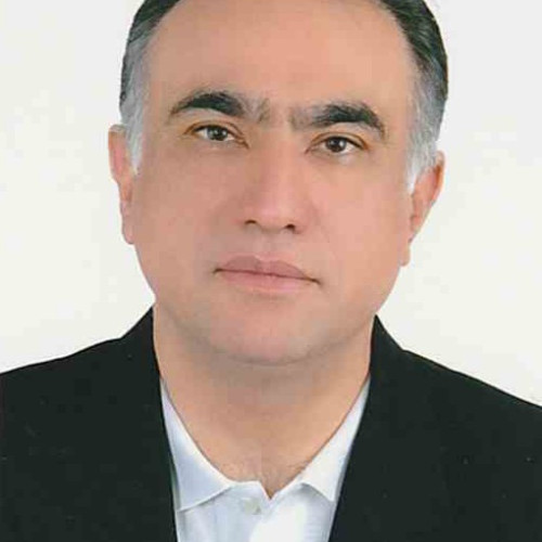 Javad  B. profile photo