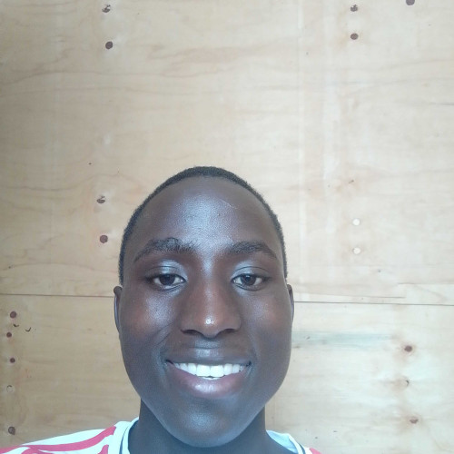 Francis Ogwoka M. profile photo