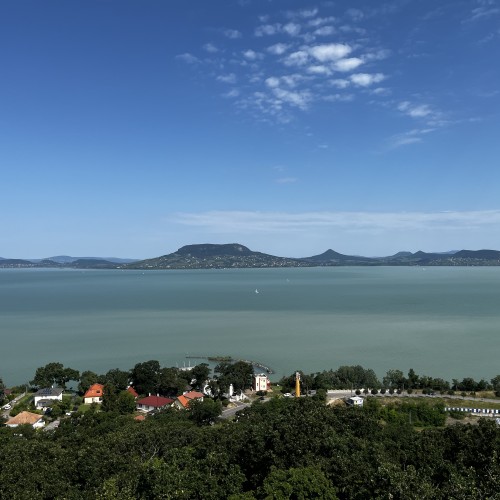 Kovacs L.