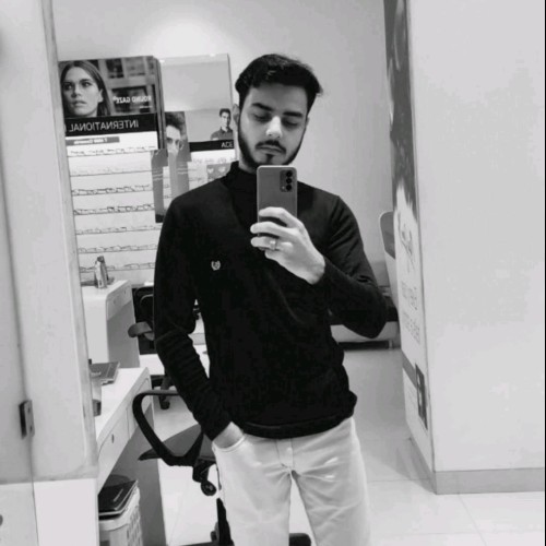 Arman P.