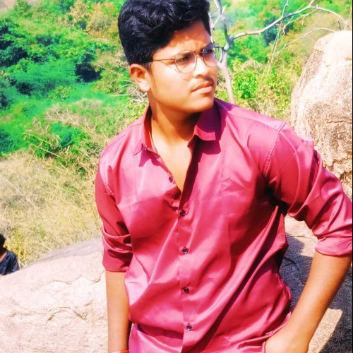 Vishnu V. profile photo