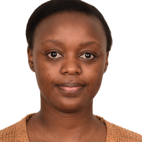 cynthia n.
