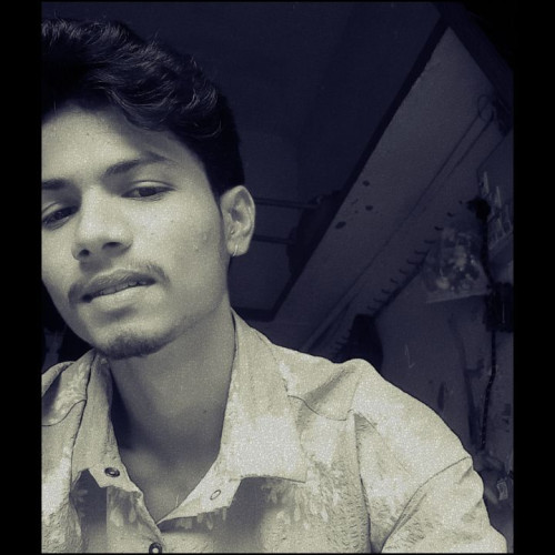 Ansh K. profile photo