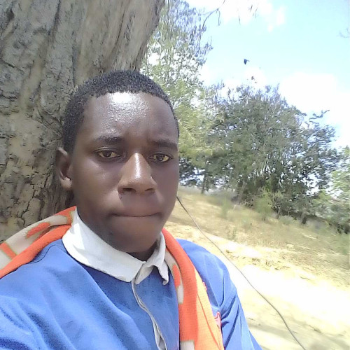 Ali K. profile photo