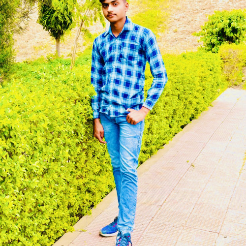 Ankit  R.