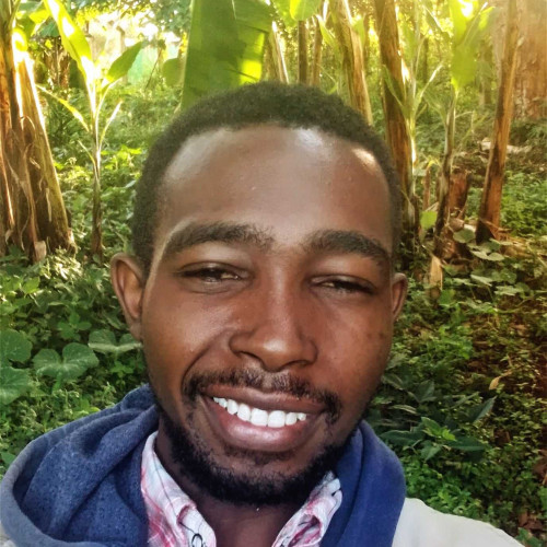 Paul M. profile photo
