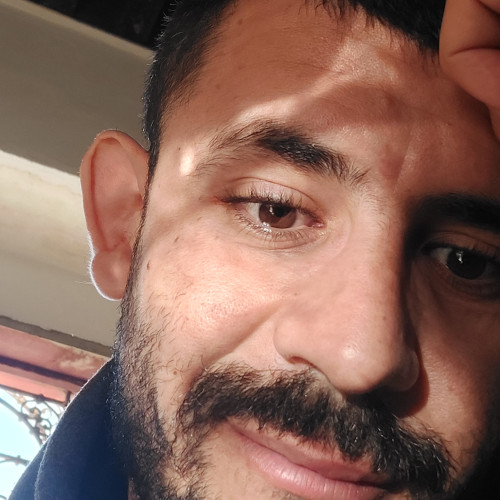 Mehdi C.