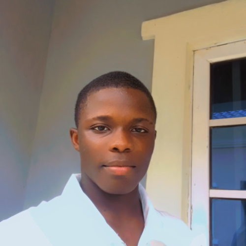 Profit D. profile photo
