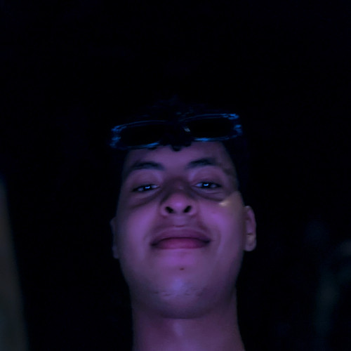 Ali L. profile photo
