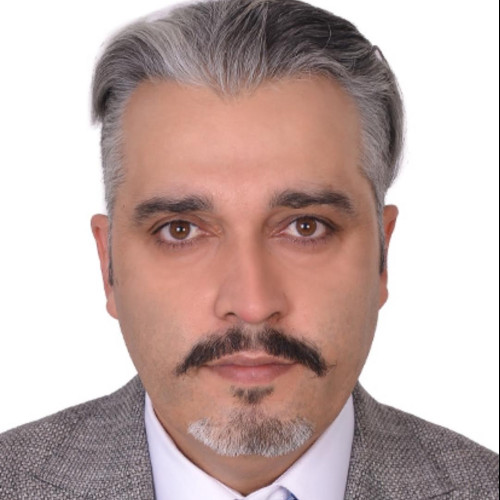Seyedhashem M.