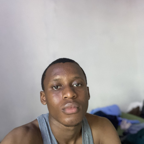 Daniel D. profile photo