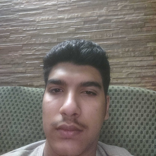 mhmd a. profile photo