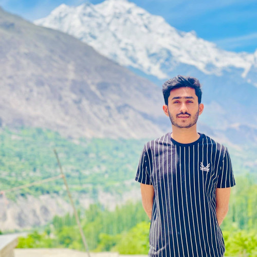 Taimoor S.