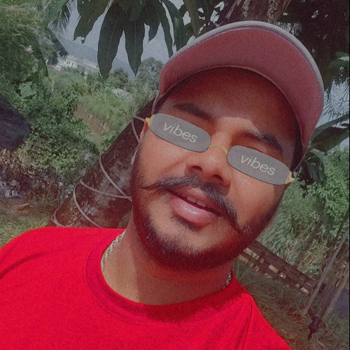 Harmndeep S. profile photo