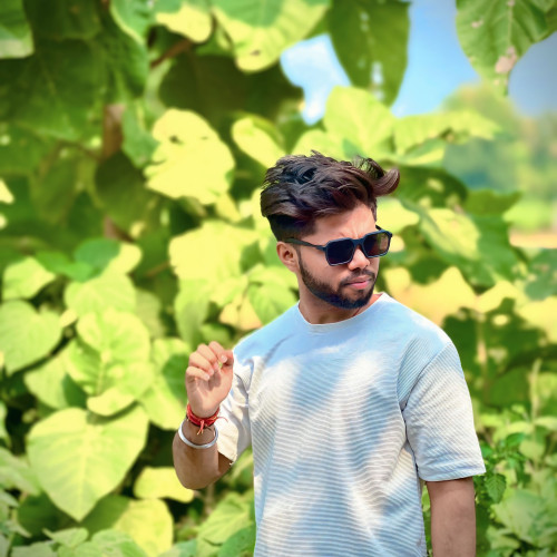 Swapnil S. profile photo