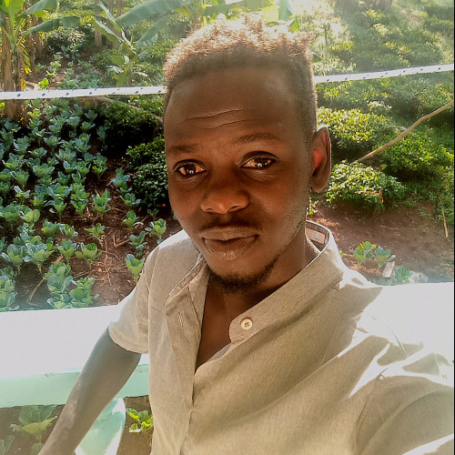 Kevin  N. profile photo