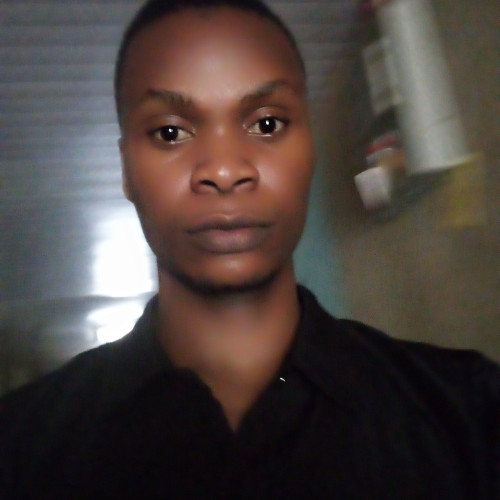 Abiodun E. profile photo