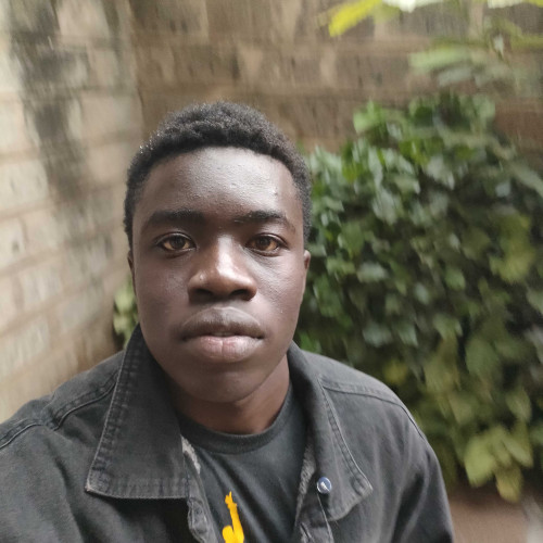 Paul O. profile photo