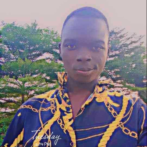 adex m. profile photo