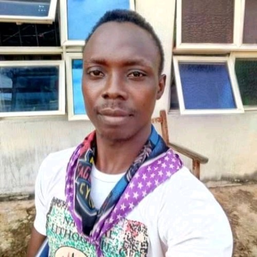 Chiebuka  A. profile photo