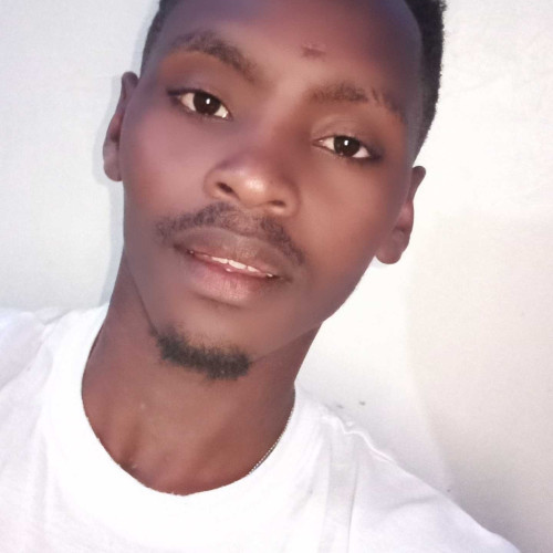 Michael n. profile photo