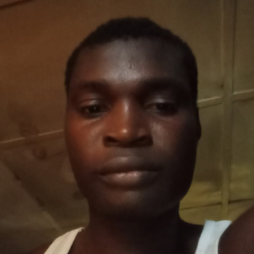 David  A. profile photo