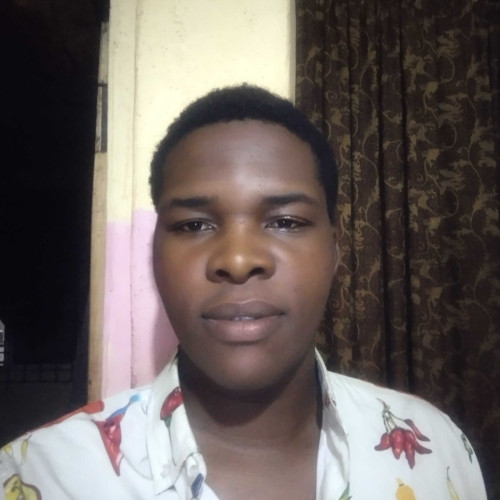 Ademola F. profile photo