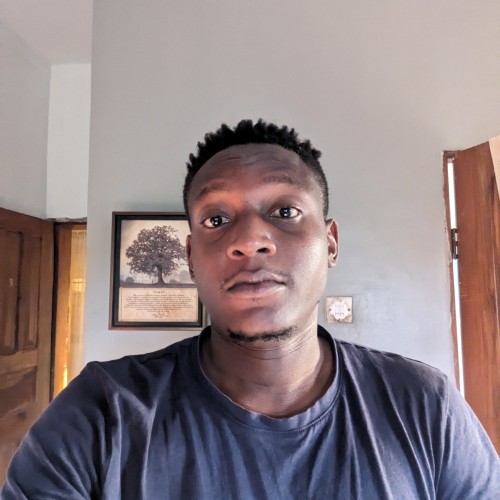 D Y O. profile photo