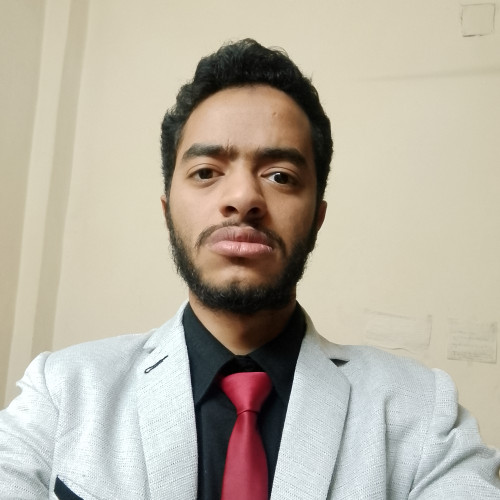 Saad eldin A.