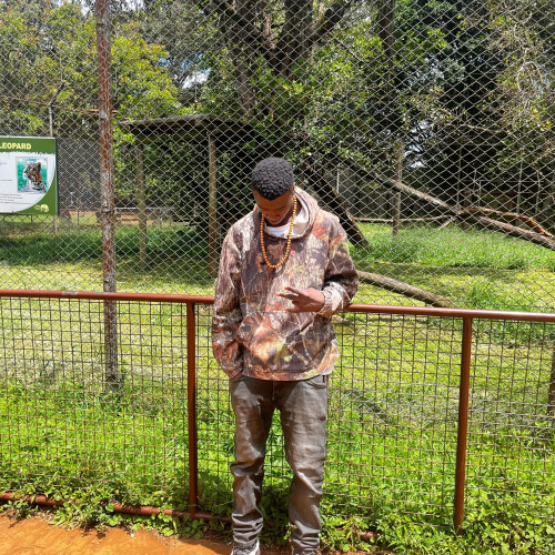 Jayson  N. profile photo