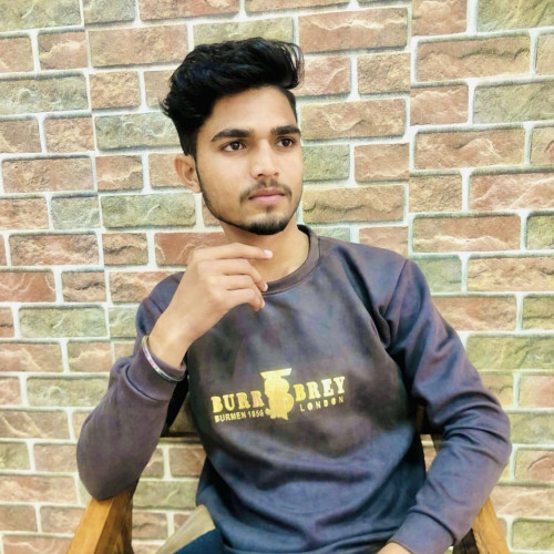 GAURAV S. profile photo